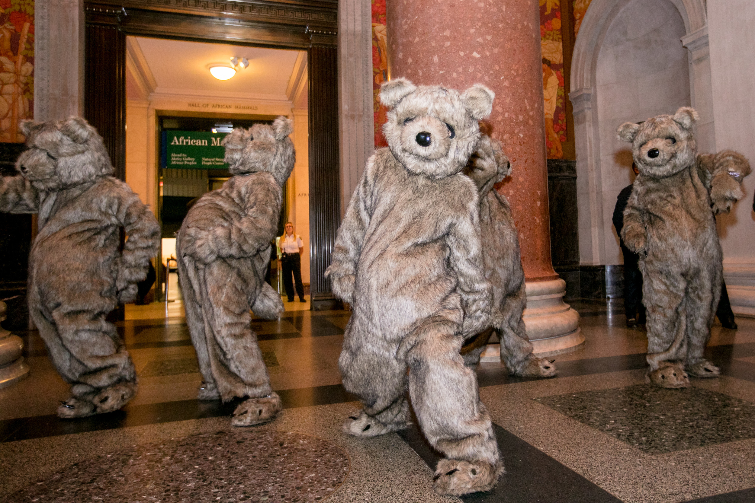 American Museum of Natural History Non Profit Event Fall 2019