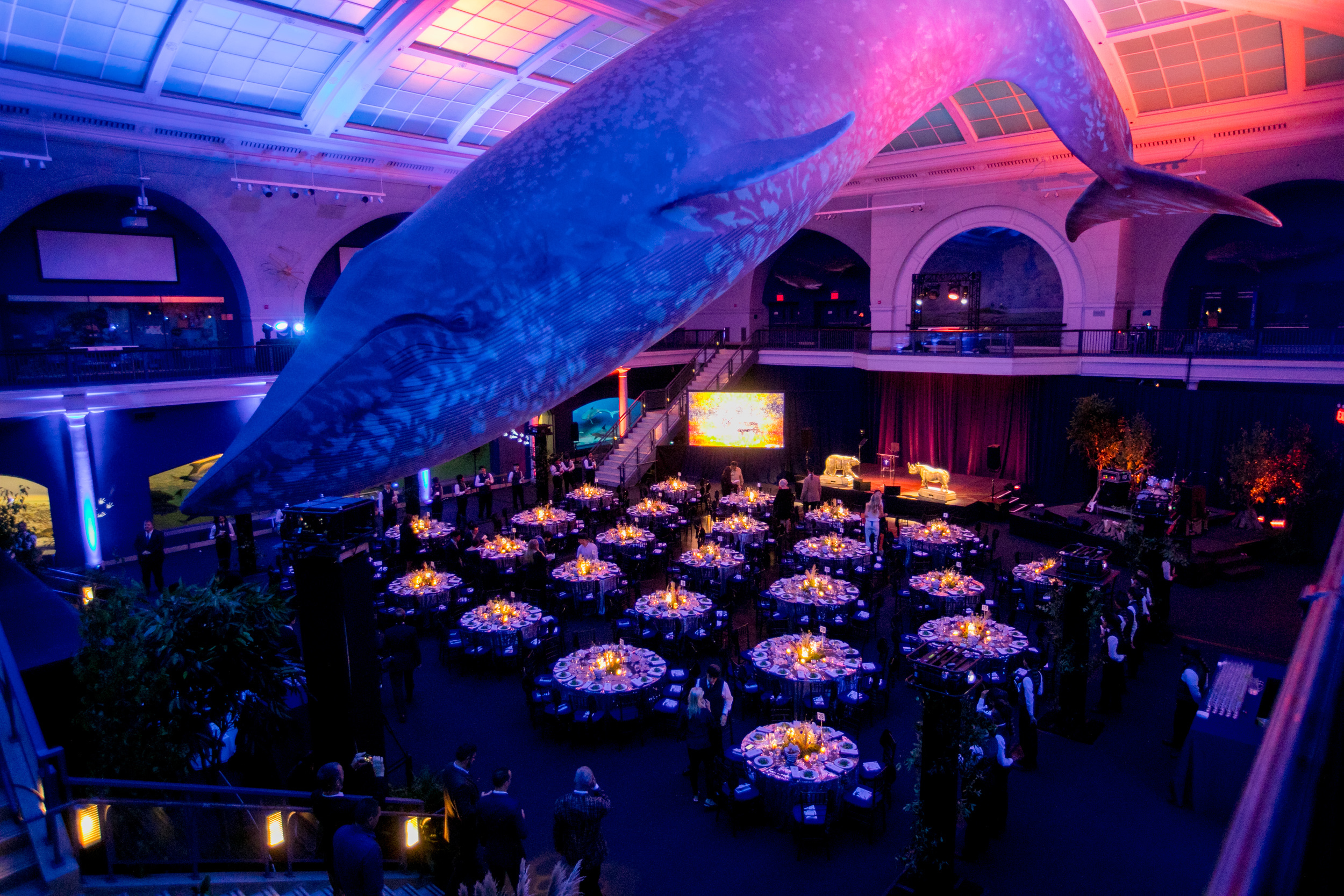 American Museum of Natural History Non Profit Event Fall 2019